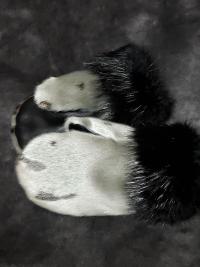 sealskin, seal fur, seal mitts, leather mitts, fur mitts