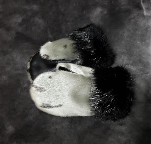 sealskin, seal fur, seal mitts, leather mitts, fur mitts